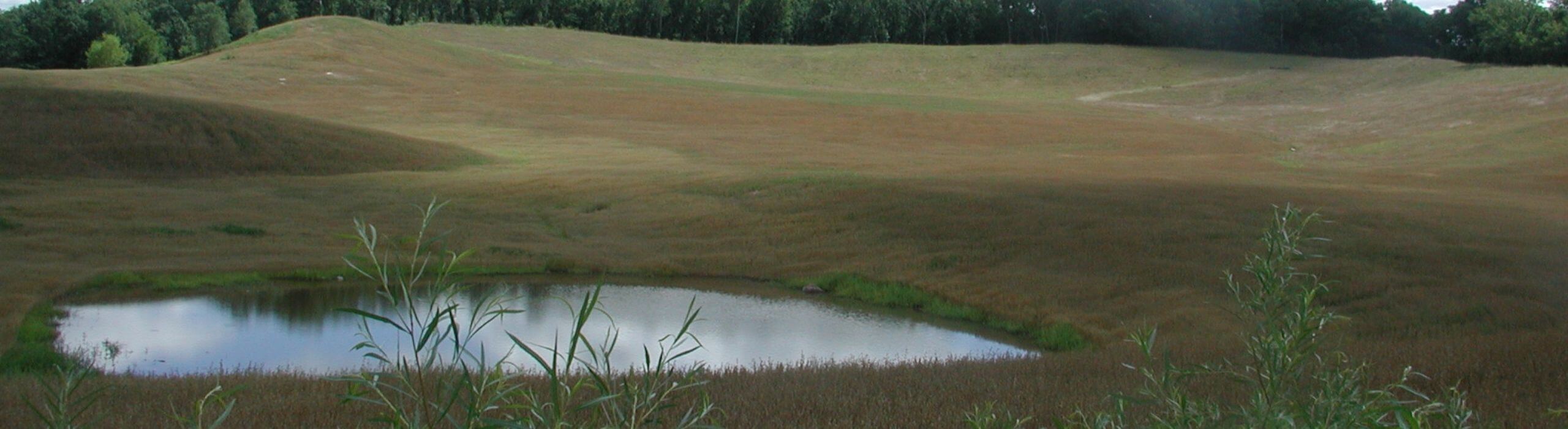 Restored gravel pit